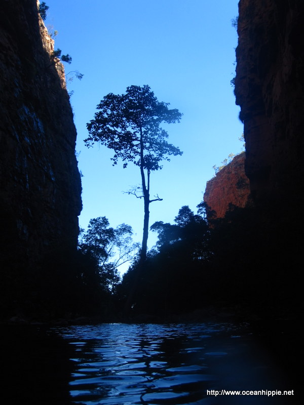 Thumbnail Photo